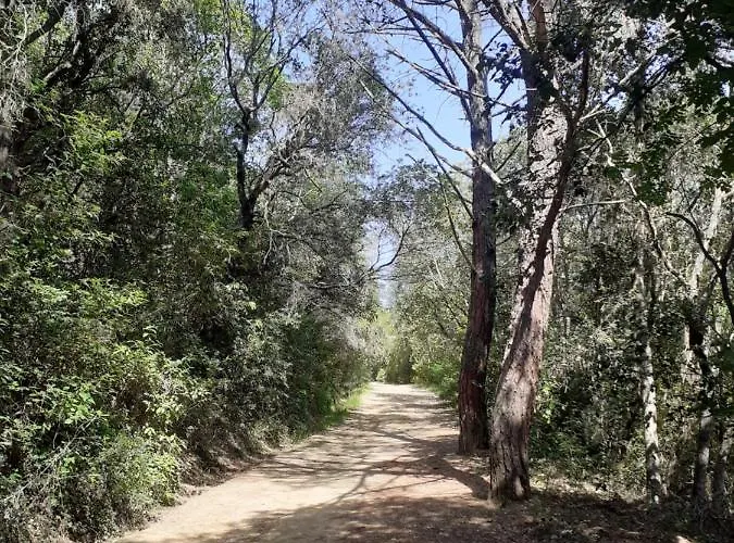 Relax, Tramonti, Natura E Mare. Autentica Maremma * غافورانا